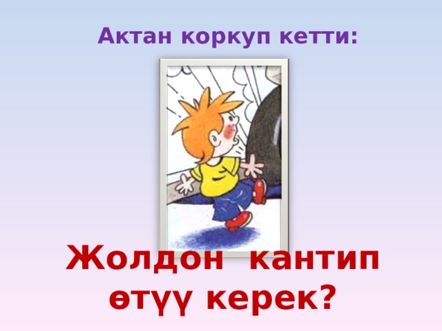 Актан коркуп кетти: Жолдон кантип өтүү керек?  