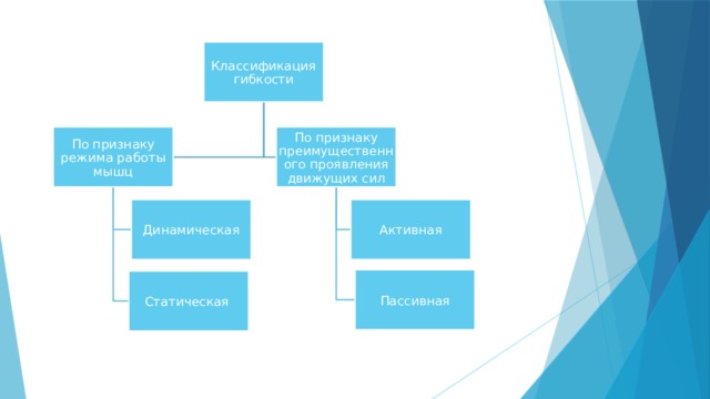 Классификация гибкости По признаку режима работы мышц По признаку преимущественного проявления движущих сил Динамическая Активная Пассивная Статическая 