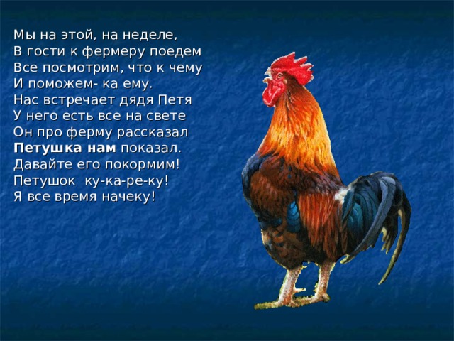 Мы на этой, на неделе, В гости к фермеру поедем Все посмотрим, что к чему И поможем- ка ему. Нас встречает дядя Петя У него есть все на свете Он про ферму рассказал Петушка нам показал. Давайте его покормим! Петушок ку-ка-ре-ку! Я все время начеку! 