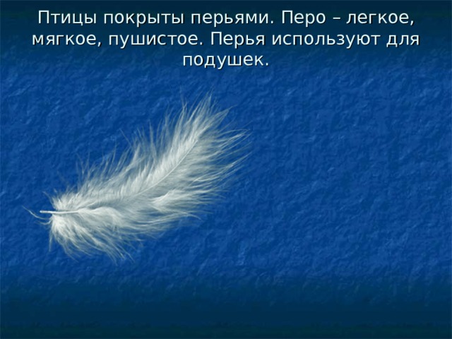 Птицы покрыты перьями. Перо – легкое, мягкое, пушистое. Перья используют для подушек. 