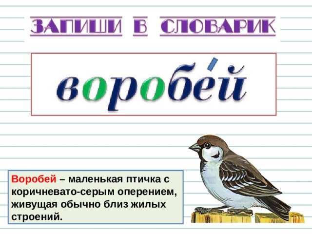 Ворона - птица с чёрным или серым оперением. 
