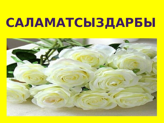 саламатсыздарбы 