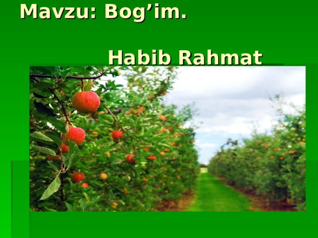 Mavzu: Bog’im.  Habib Rahmat 