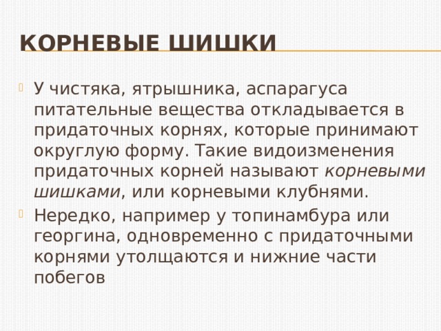 Корневые шишки У чистяка, ятрышника, аспарагуса питательные вещества откладывается в придаточных корнях, которые принимают округлую форму. Такие видоизменения придаточных корней называют  корневыми шишками , или корневыми клубнями. Нередко, например у топинамбура или георгина, одновременно с придаточными корнями утолщаются и нижние части побегов  