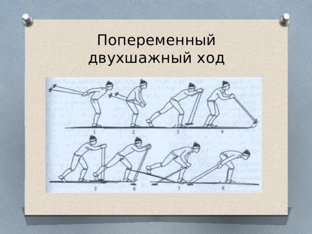 Попеременный двухшажный ход 