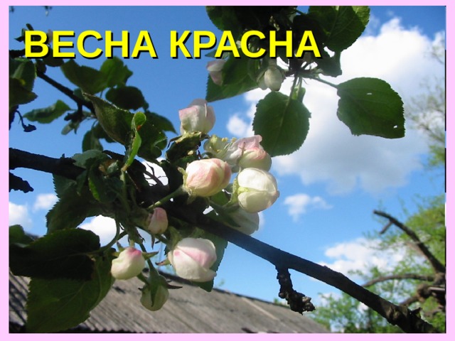 ВЕСНА КРАСНА 