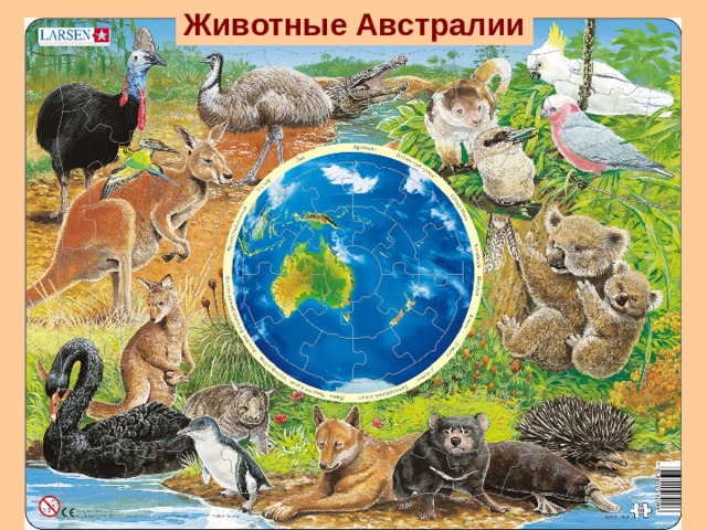 Животные Австралии 