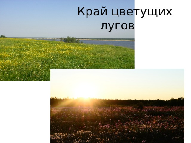  Край цветущих лугов 