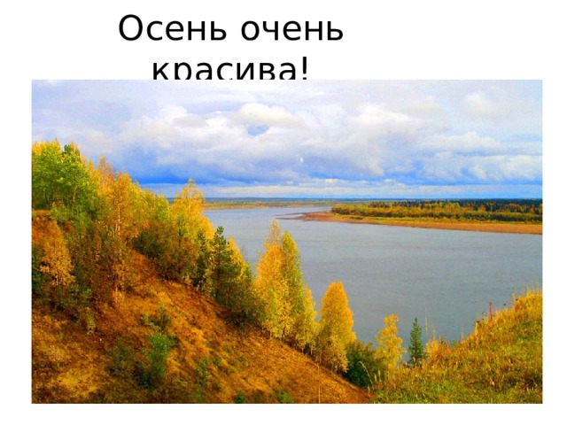 Осень очень красива! 