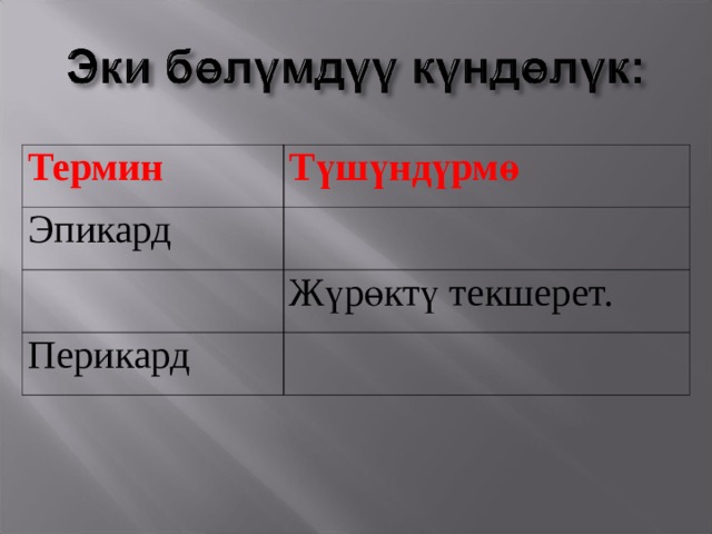 Термин Түшүндүрмө Эпикард Жүрөктү текшерет. Перикард 