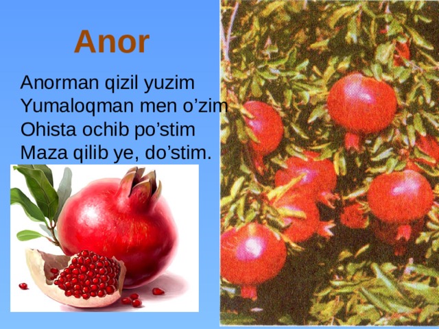 Anor Anorman qizil yuzim Yumaloqman men o’zim Ohista ochib po’stim Maza qilib ye, do’stim. 
