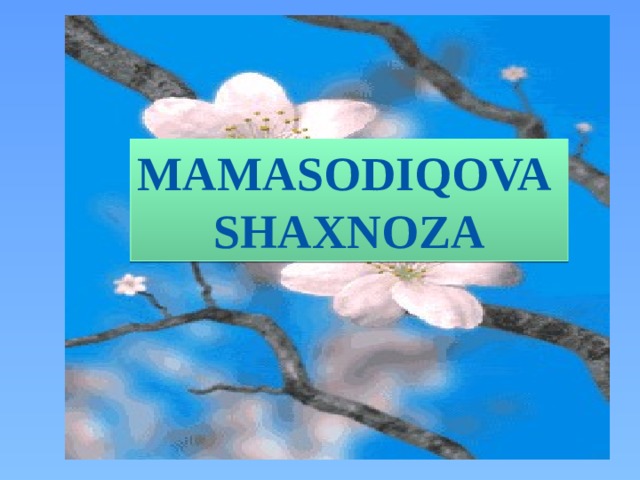 MAMASODIQOVA SHAXNOZA 