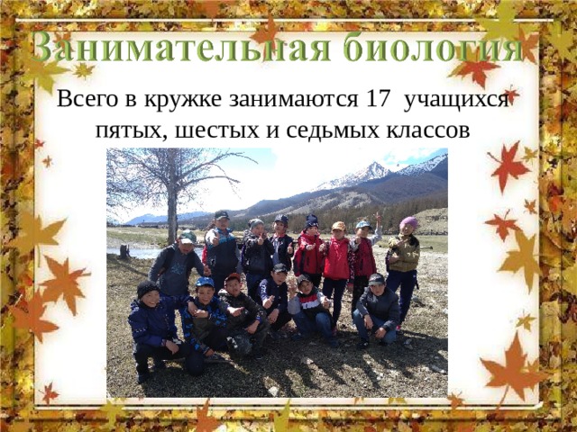 Всего в кружке занимаются 17 учащихся пятых, шестых и седьмых классов 