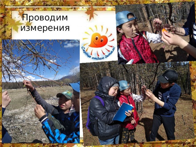 Проводим  измерения 