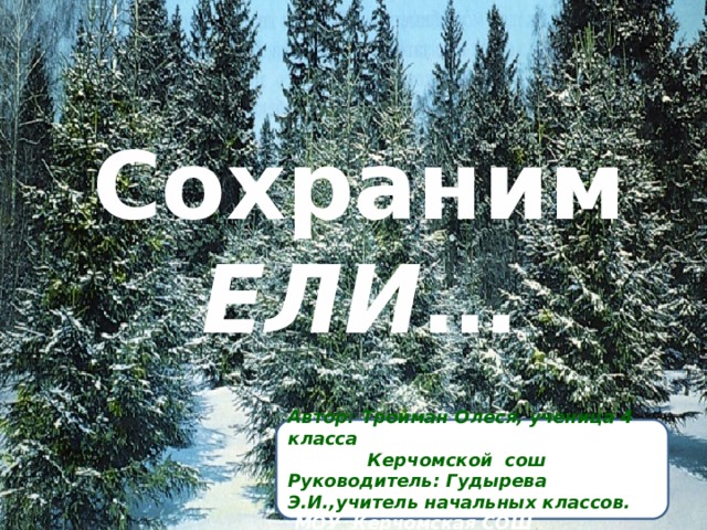 Сохраним ЕЛИ …   Автор: Тройман Олеся, ученица 4 класса  Керчомской сош Руководитель: Гудырева Э.И.,учитель начальных классов.  МОУ Керчомская СОШ Руководитель: Гудырева Э.И., учитель н 
