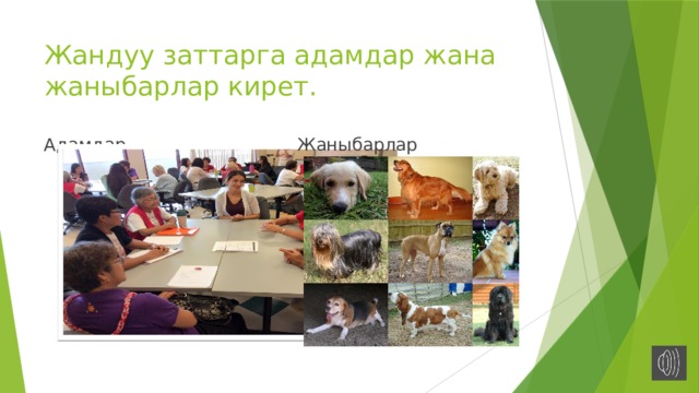 Жандуу заттарга адамдар жана жаныбарлар кирет. Адамдар Жаныбарлар 
