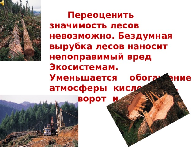 Переоценить значимость лесов невозможно. Бездумная вырубка лесов наносит непоправимый вред Экосистемам. Уменьшается обогащение атмосферы кислородом, круговорот и качество воды.