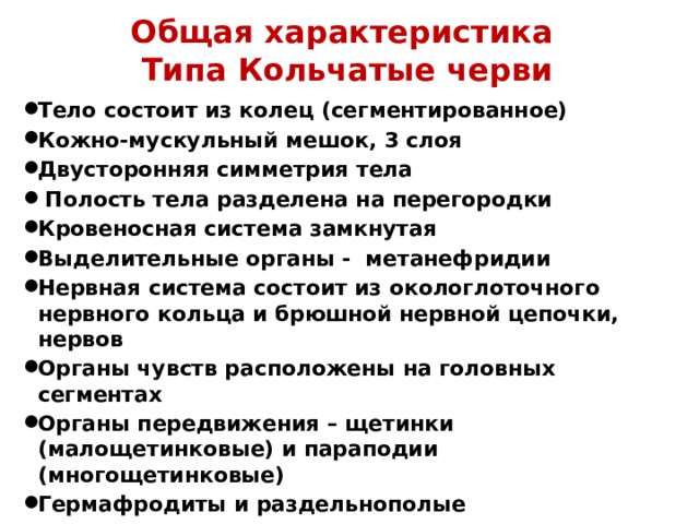 Общая характеристика  Типа Кольчатые черви
