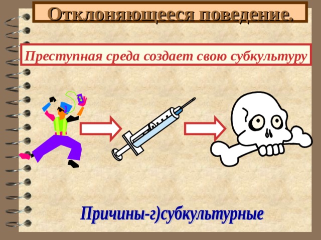 Отклоняющееся поведение. Преступная среда создает свою субкультуру 