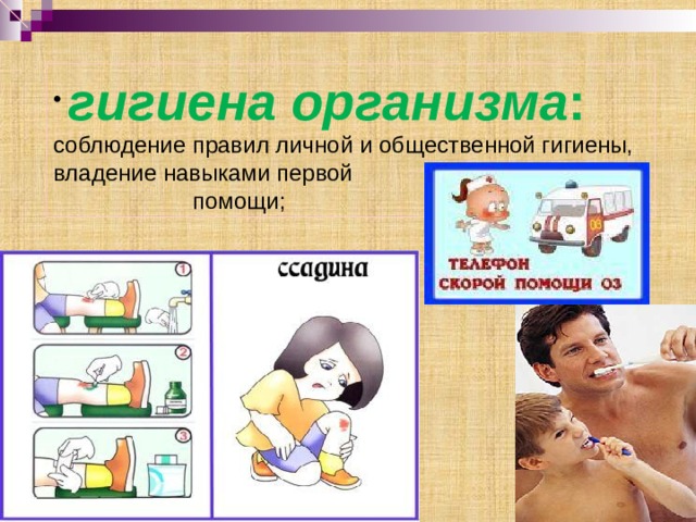 гигиена организма : соблюдение правил личной и общественной гигиены, владение навыками первой    помощи; 