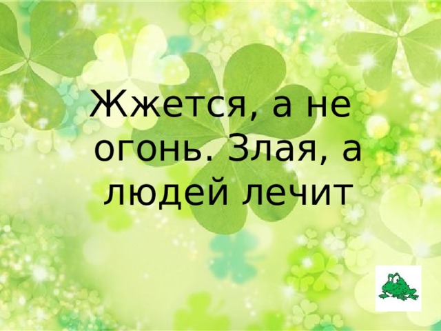 Жжется, а не огонь. Злая, а людей лечит 