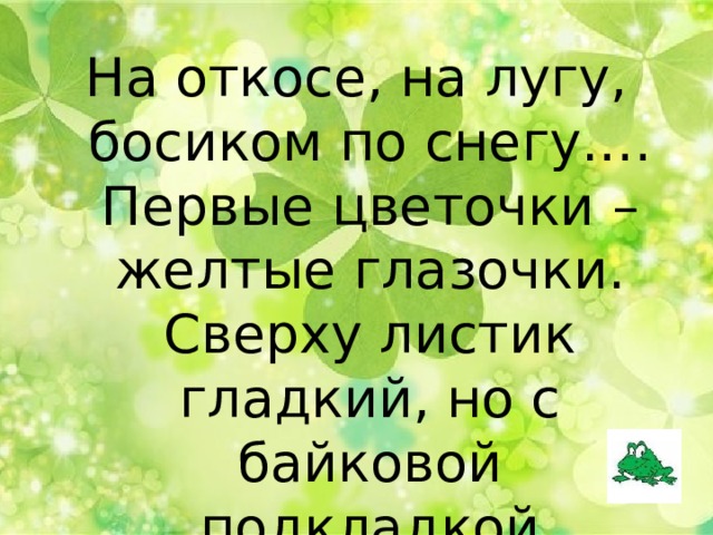 На откосе, на лугу, босиком по снегу.… Первые цветочки – желтые глазочки. Сверху листик гладкий, но с байковой подкладкой 