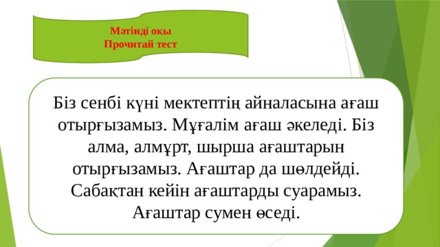 Мәтінді оқы Прочитай тест Біз сенбі күні мектептің айналасына ағаш отырғызамыз. Мұғалім ағаш әкеледі. Біз алма, алмұрт, шырша ағаштарын отырғызамыз. Ағаштар да шөлдейді. Сабақтан кейін ағаштарды суарамыз. Ағаштар сумен өседі. 