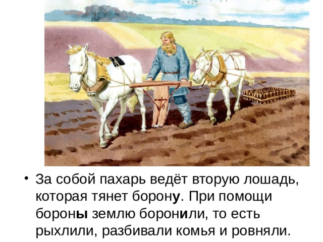За собой пахарь ведёт вторую лошадь, которая тянет борон у . При помощи борон ы землю борон и ли, то есть рыхлили, разбивали комья и ровняли.  