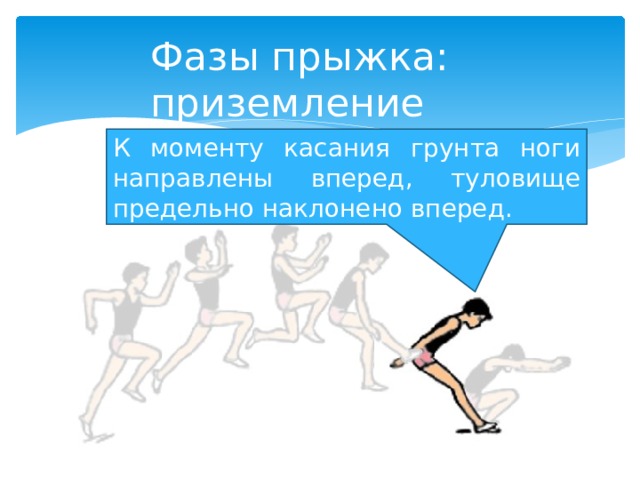 Фазы прыжка: приземление К моменту касания грунта ноги направлены вперед, туловище предельно наклонено вперед. 