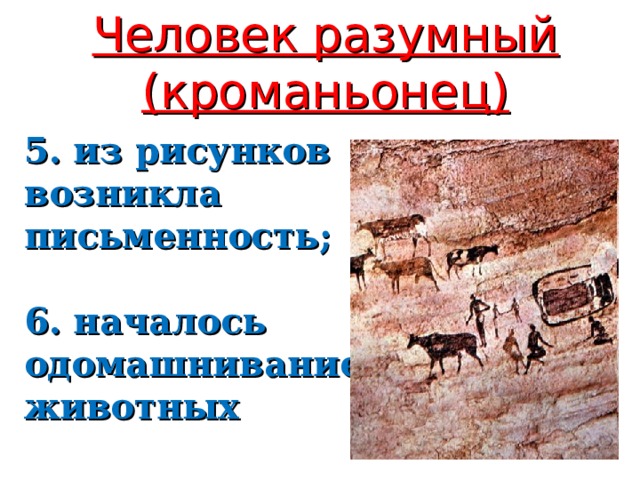 Человек разумный (кроманьонец) 5. из рисунков возникла письменность;  6. началось одомашнивание животных 