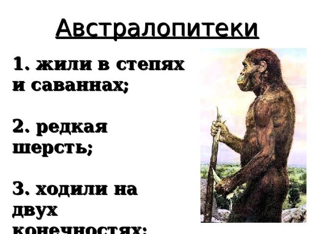 Австралопитеки 1. жили в степях и саваннах;  2. редкая шерсть;  3. ходили на двух конечностях; 