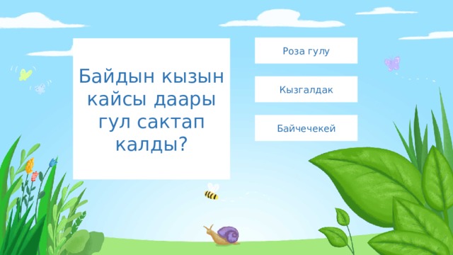 Роза гулу Байдын кызын кайсы даары гул сактап калды? Кызгалдак Байчечекей 
