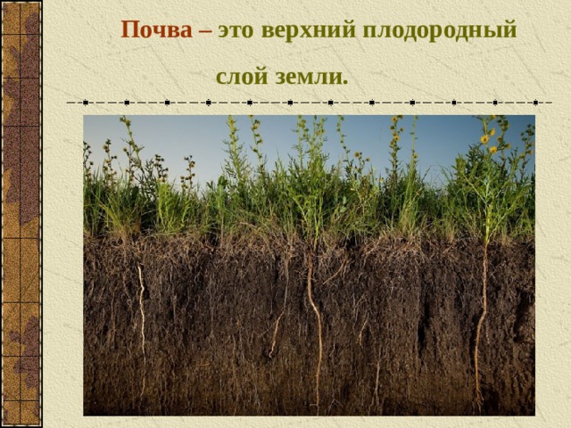 Почва –  это верхний плодородный  слой земли. 