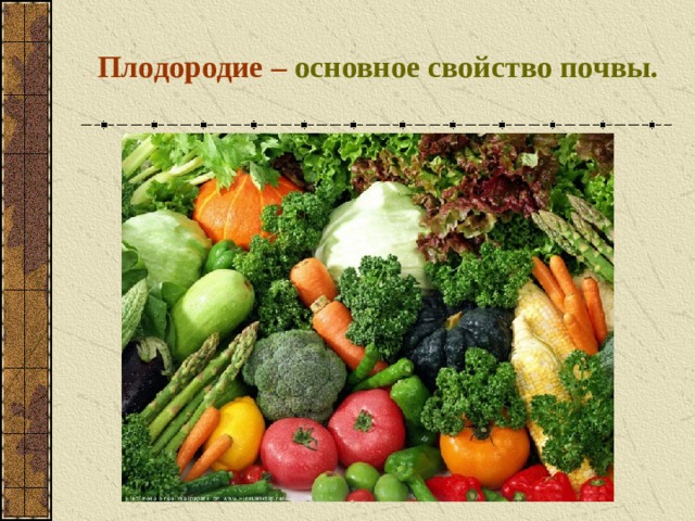 Плодородие –  основное свойство почвы. 