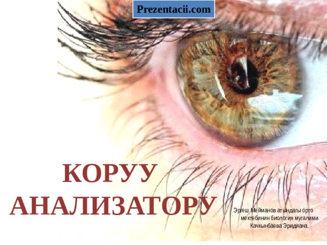 Prezentacii.com коруу  анализатору Эргеш Мейманов атындагы орто мектебинин биология мугалими Качкынбаева Эридиана. 