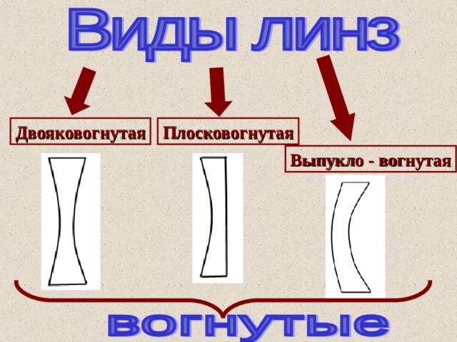 Двояковогнутая Плосковогнутая Выпукло - вогнутая 