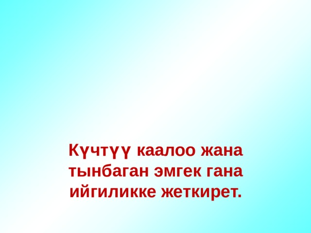 Күчтүү каалоо жана тынбаган эмгек гана ийгиликке жеткирет. 