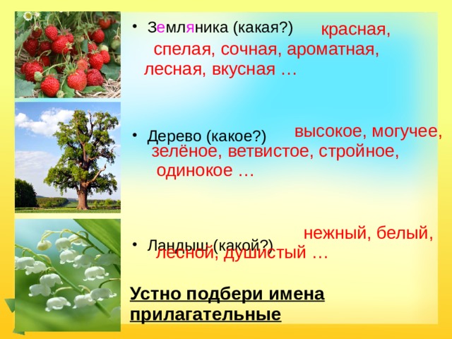    красная, З е мл я ника (какая?)  спелая, сочная, ароматная, лесная, вкусная … Дерево (какое?) Ландыш (какой?)  высокое, могучее, зелёное, ветвистое, стройное,  одинокое …  нежный, белый,  лесной, душистый … Устно подбери имена прилагательные 