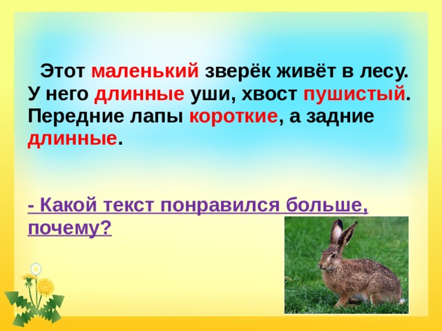  Этот маленький зверёк живёт в лесу. У него длинные уши, хвост пушистый . Передние лапы короткие , а задние длинные .   - Какой текст понравился больше, почему? 