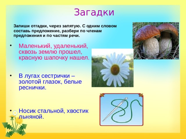 Загадки Запиши отгадки, через запятую. С одним словом составь предложение, разбери по членам предложения и по частям речи. Маленький, удаленький, сквозь землю прошел, красную шапочку нашел. В лугах сестрички – золотой глазок, белые реснички. Носик стальной, хвостик льняной. 