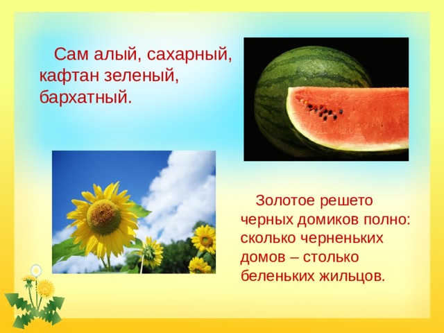 Сам алый, сахарный, кафтан зеленый, бархатный.  Золотое решето черных домиков полно: сколько черненьких домов – столько беленьких жильцов. 