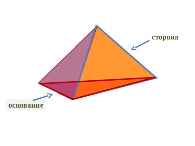 сторона основание 