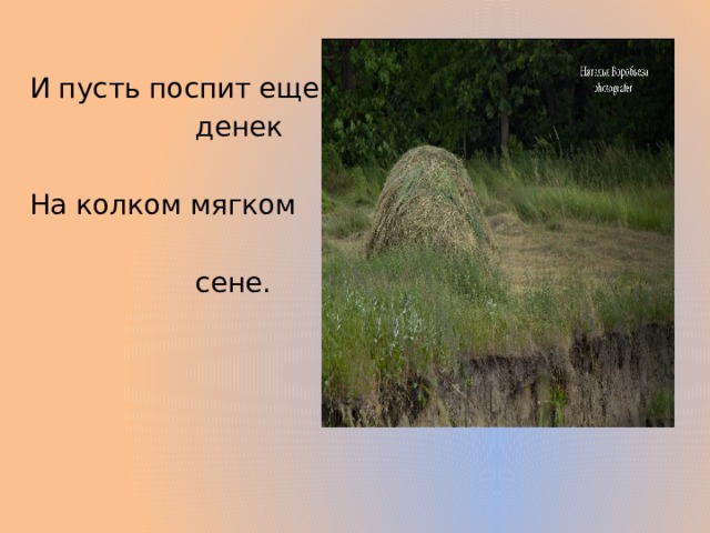 И пусть поспит еще  денек На колком мягком  сене. 