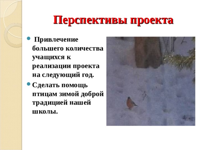 Перспективы проекта  Привлечение большего количества учащихся к реализации проекта на следующий год. Сделать помощь птицам зимой доброй традицией нашей школы.   
