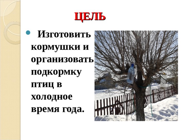 ЦЕЛЬ  Изготовить кормушки и организовать подкормку птиц в холодное время года.  