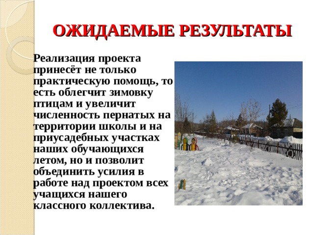 ОЖИДАЕМЫЕ РЕЗУЛЬТАТЫ  Реализация проекта принесёт не только практическую помощь, то есть облегчит зимовку птицам и увеличит численность пернатых на территории школы и на приусадебных участках наших обучающихся летом, но и позволит объединить усилия в работе над проектом всех учащихся нашего классного коллектива.   