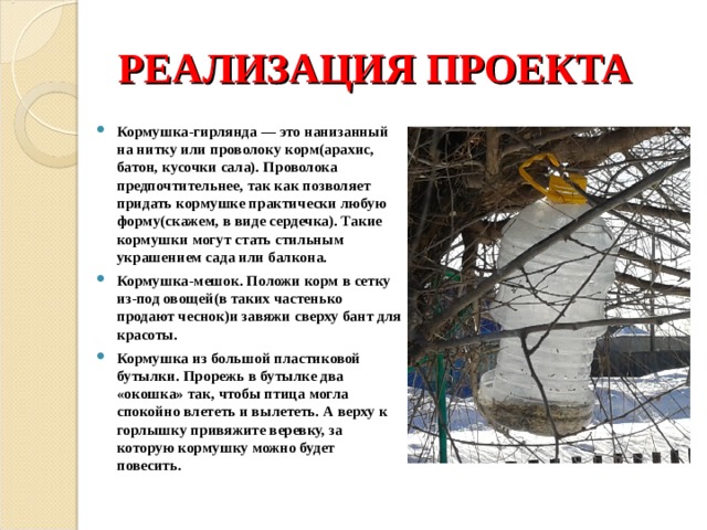 РЕАЛИЗАЦИЯ ПРОЕКТА Кормушка-гирлянда — это нанизанный на нитку или проволоку корм(арахис, батон, кусочки сала). Проволока предпочтительнее, так как позволяет придать кормушке практически любую форму(скажем, в виде сердечка). Такие кормушки могут стать стильным украшением сада или балкона. Кормушка-мешок. Положи корм в сетку из-под овощей(в таких частенько продают чеснок)и завяжи сверху бант для красоты. Кормушка из большой пластиковой бутылки. Прорежь в бутылке два «окошка» так, чтобы птица могла спокойно влететь и вылететь. А верху к горлышку привяжите веревку, за которую кормушку можно будет повесить.  