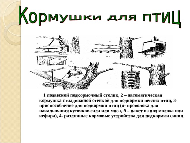           1 подвесной подкормочный столик, 2 – автоматическая кормушка с выдвижной стенкой для подкормки певчих птиц, 3- приспособление для подкормки птиц ( а - проволока для накалывания кусочков сала или мяса, б – пакет из под молока или кефира), 4- различные кормовые устройства для подкормки синиц 