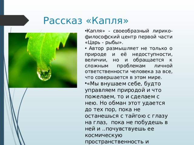 Рассказ «Капля» Капля» - своеобразный лирико-философский центр первой части «Царь - рыбы».  Автор размышляет не только о природе и её недоступности, величии, но и обращается к сложным проблемам личной ответственности человека за все, что совершается в этом мире. «Мы внушаем себе, будто управляем природой и что пожелаем, то и сделаем с нею. Но обман этот удается до тех пор, пока не останешься с тайгою с глазу на глаз, пока не побудешь в ней и ..почувствуешь ее космическую пространственность и величие». 