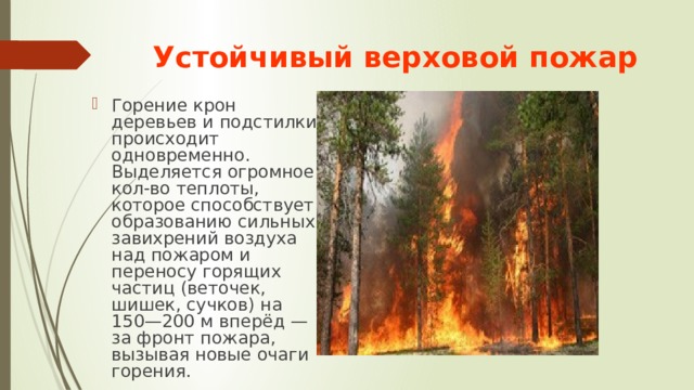 Устойчивый верховой пожар Горение крон деревьев и подстилки происходит одновременно. Выделяется огромное кол-во теплоты, которое способствует образованию сильных завихрений воздуха над пожаром и переносу горящих частиц (веточек, шишек, сучков) на 150—200 м вперёд — за фронт пожара, вызывая новые очаги горения.  